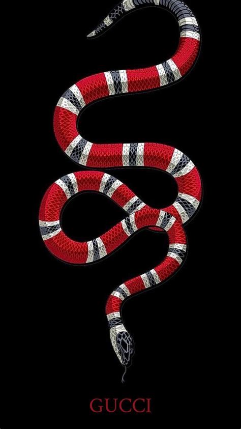 gucci snake vector logo|gucci snake logo background.